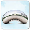 The Bean  Coaster