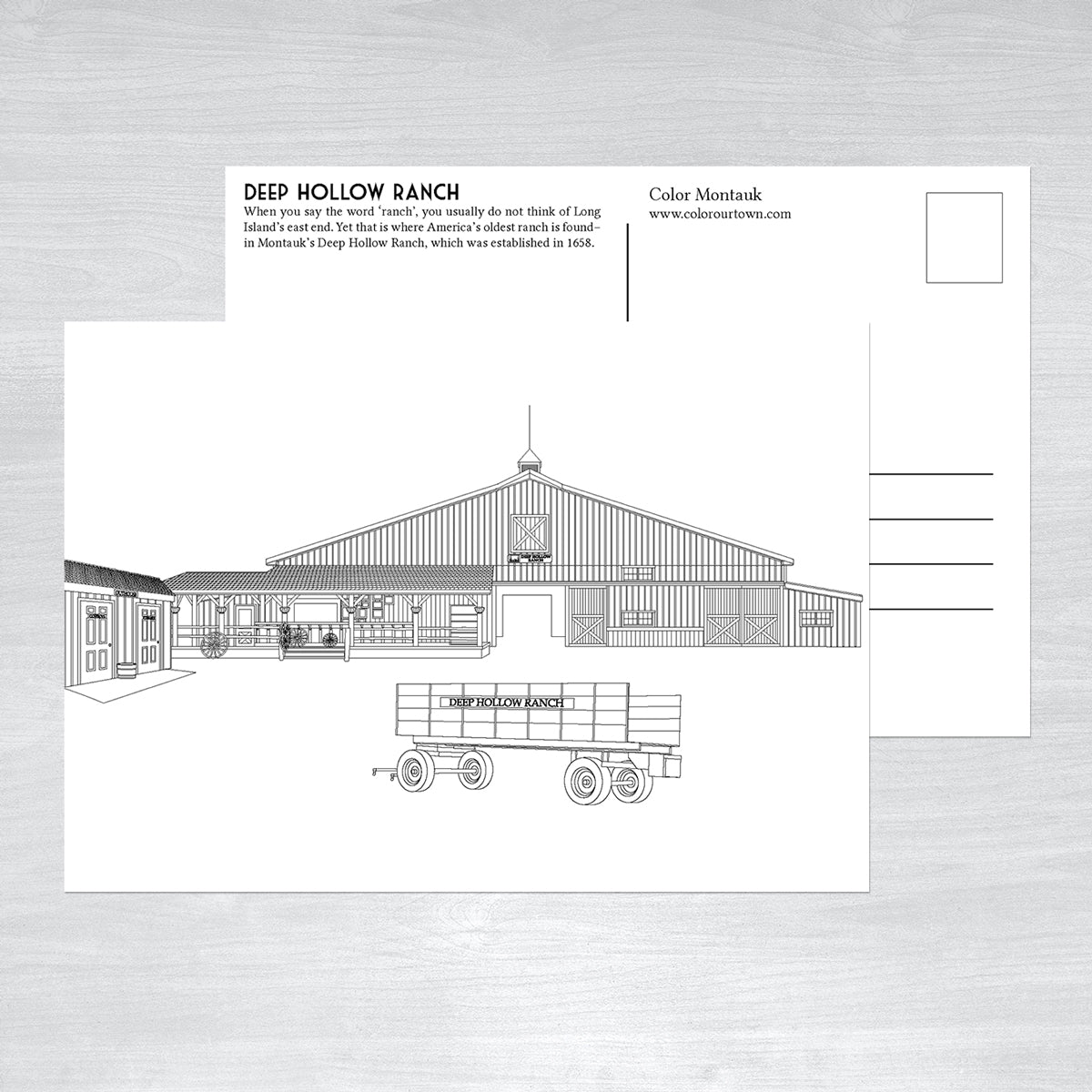 Montauk Coloring Postcards