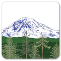Mount Rainier  Coaster