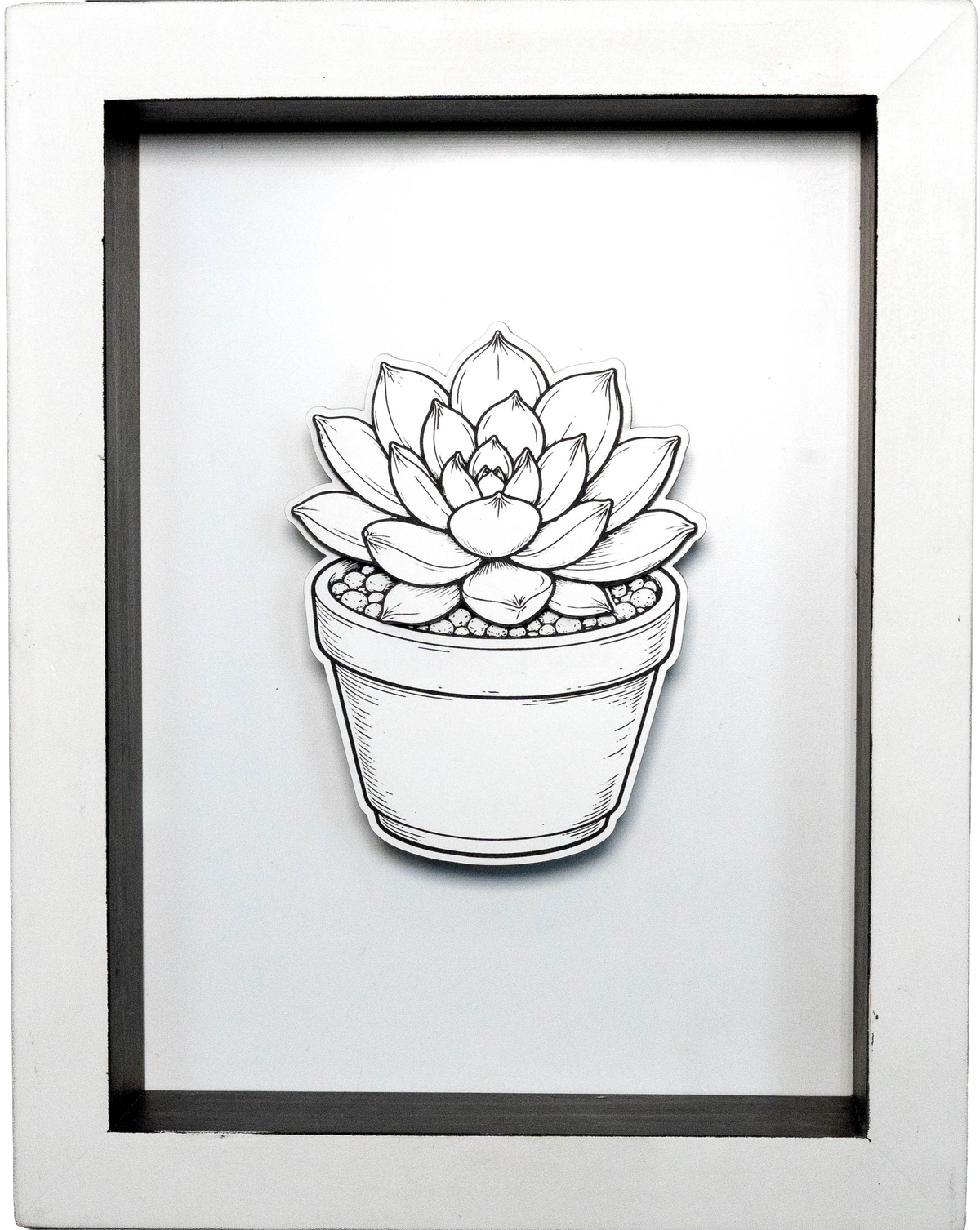 Framed Art - Succulent