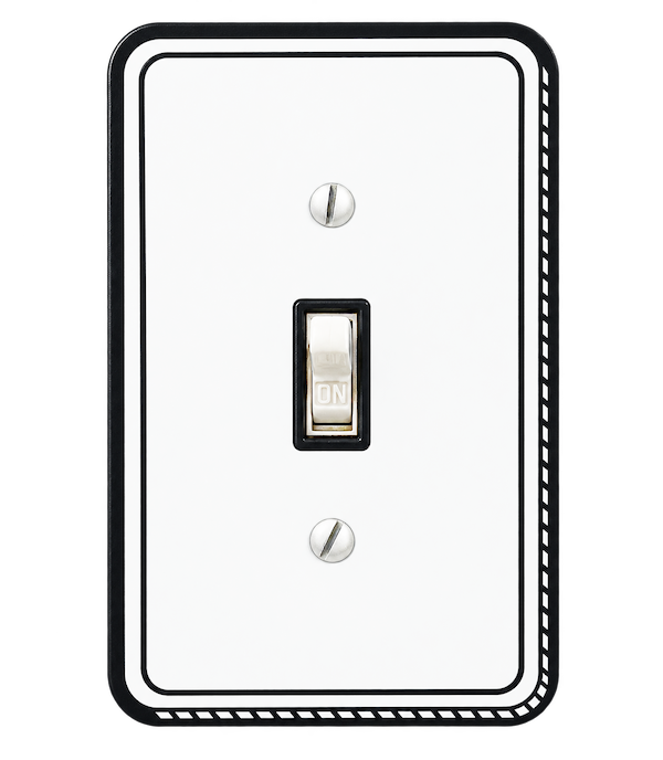 Light Switch Cover 2
