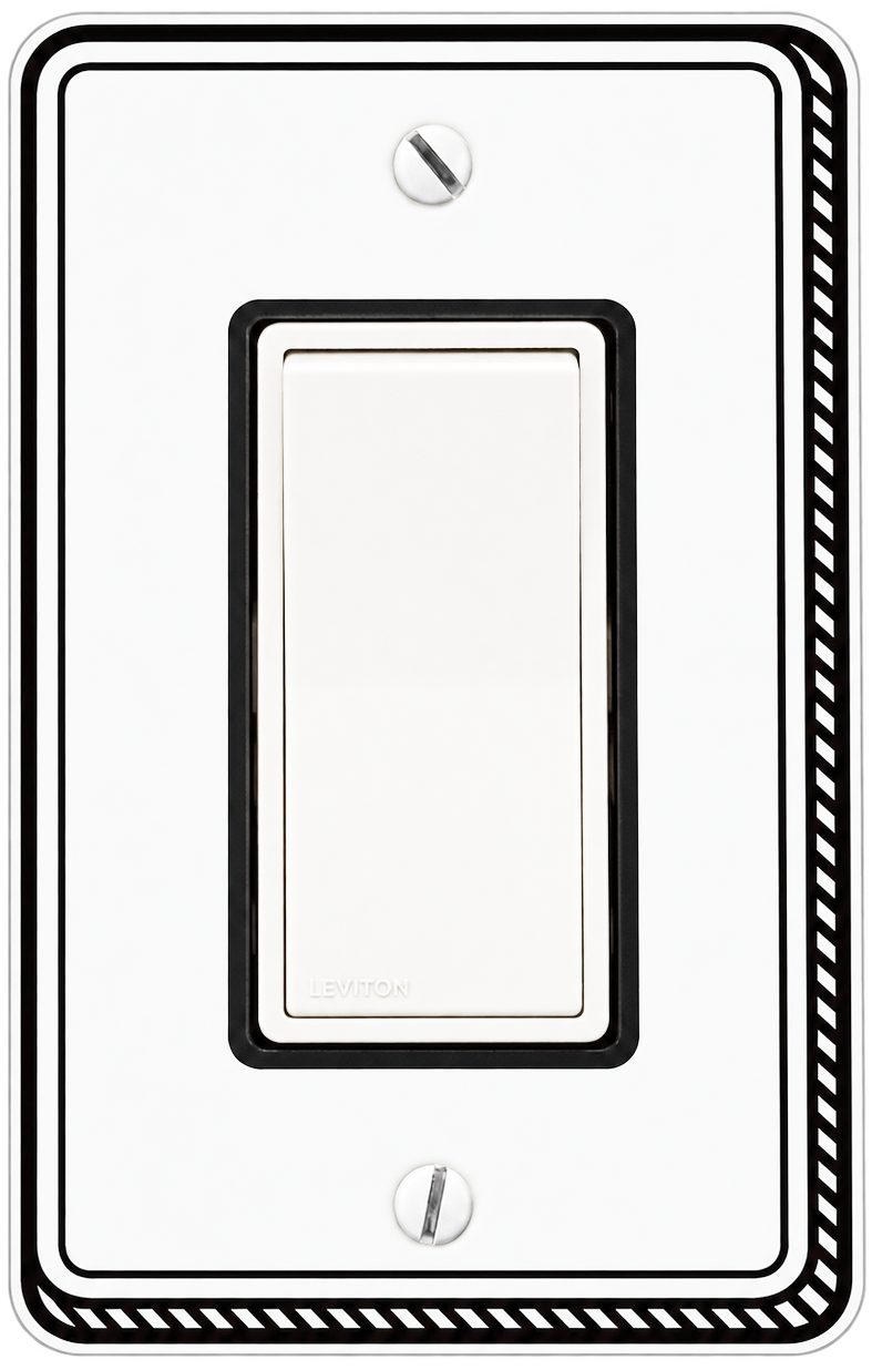 Light Switch Cover 3