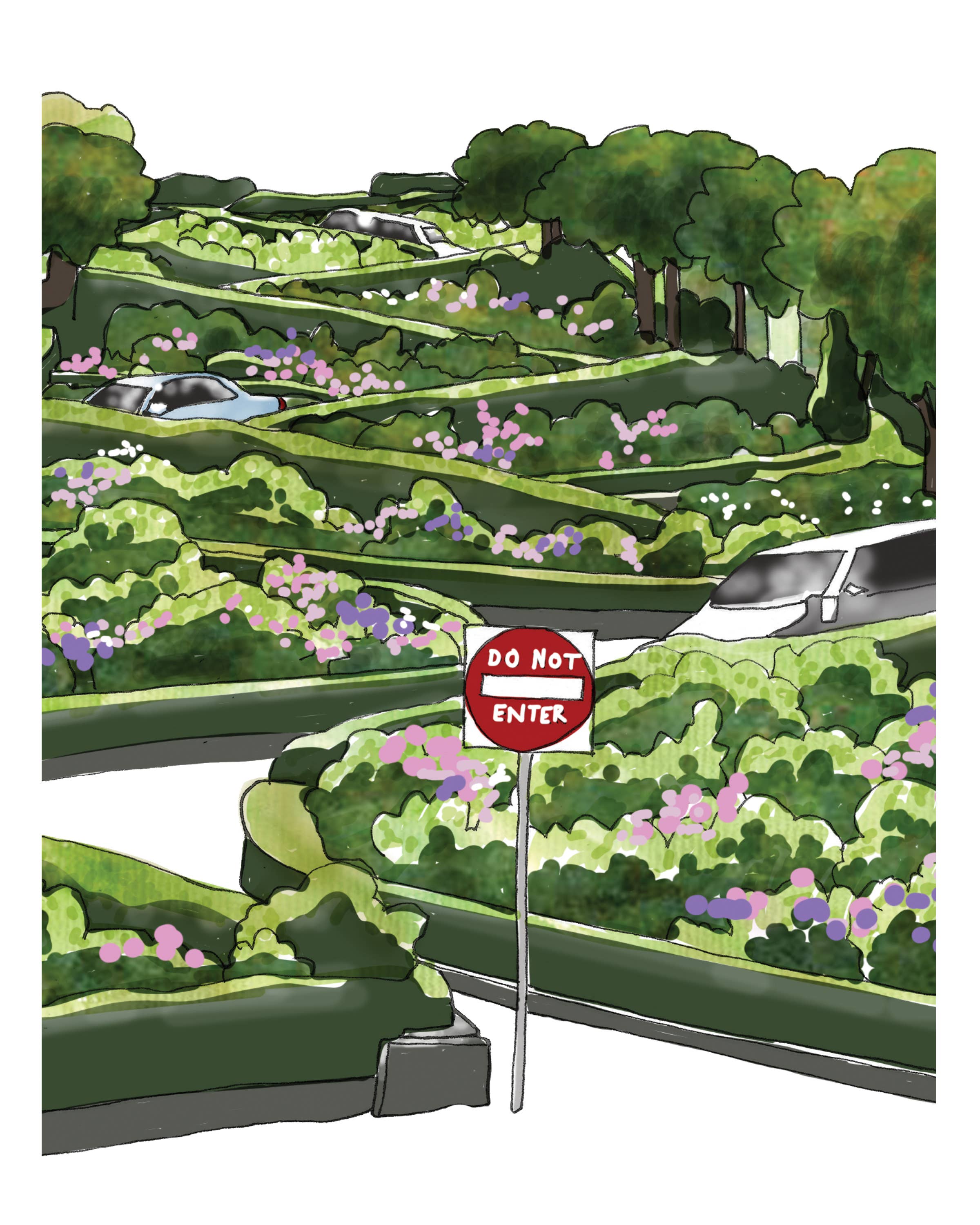 Lombard Street  Art Print