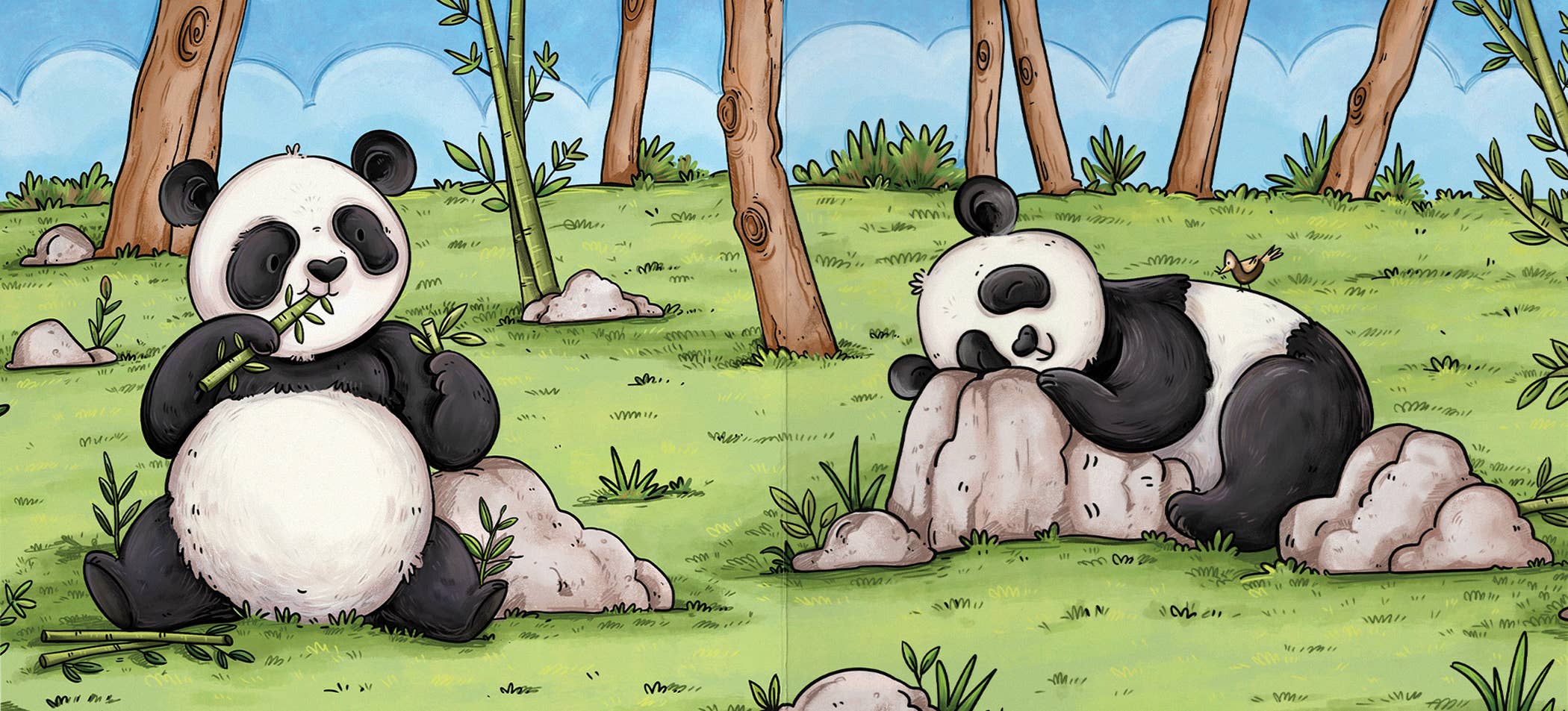 National Zoo  Greeting Card